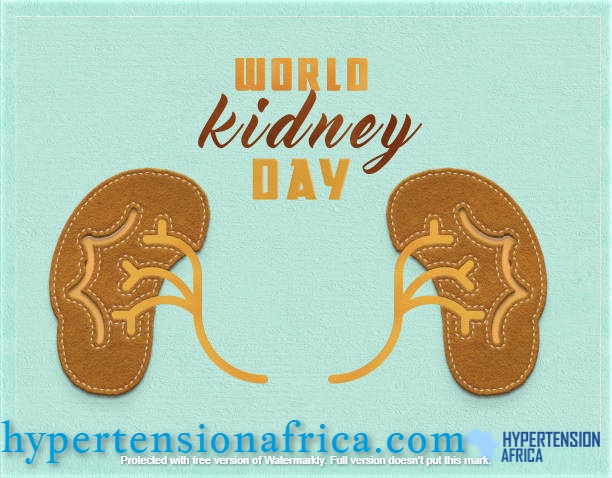 World Kidney Day: How High Blood Pressure And Renal Failure are linked