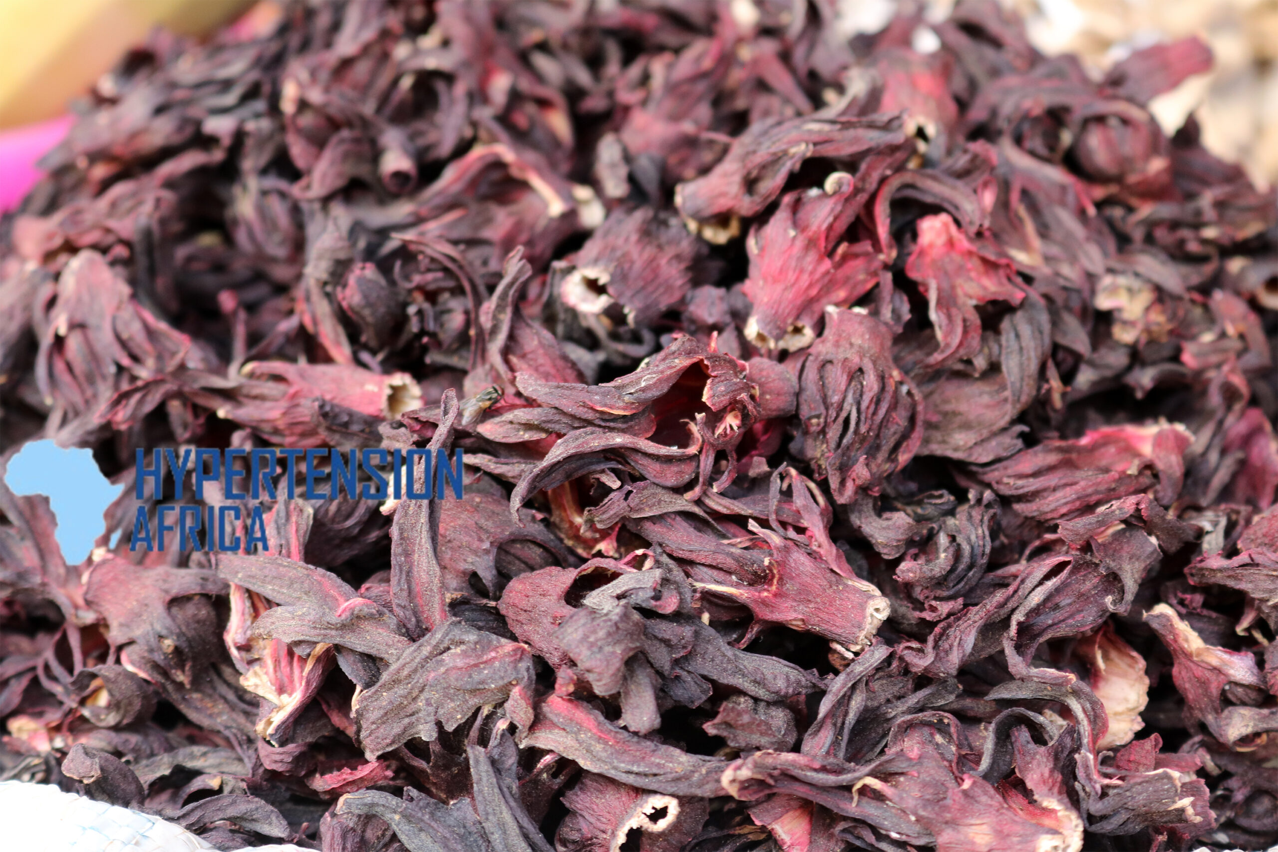 Can Hibiscus Tea (Zobo) Cure Hypertension?